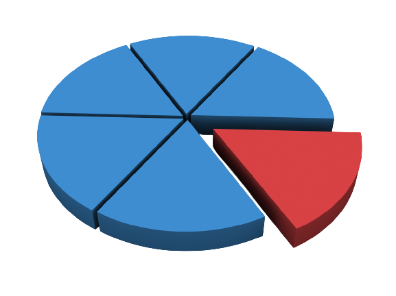 Fractional Shares Icon